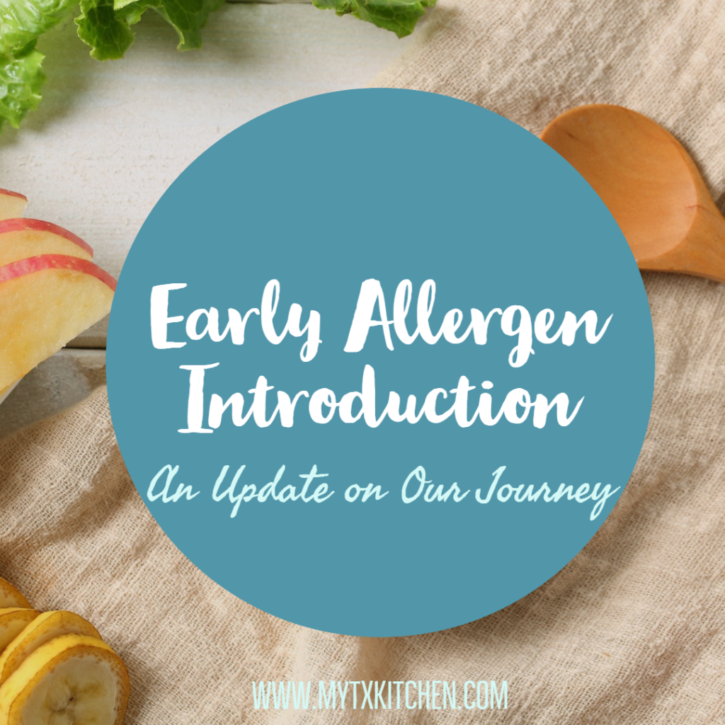 Early Allergen Introduction 6 Month Baby Food