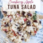 bowl of prepared cranberry apple tuna salad