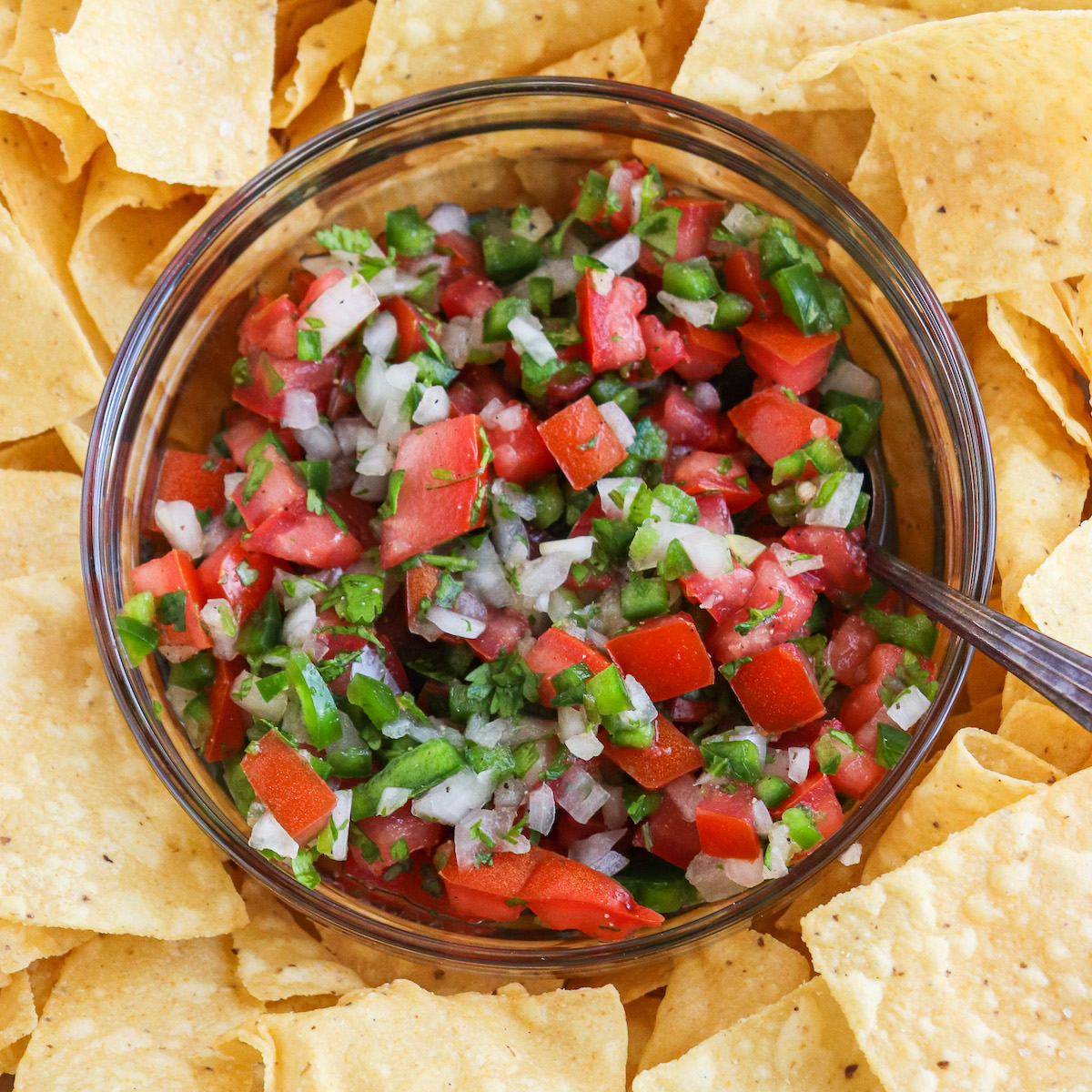 The bowl is filled with a vibrant mix of diced tomatoes, onions, jalapeños, and cilantro. The ingredients are evenly distributed, and the colors are bright and contrasting. The texture is chunky and there are visible pieces of tomato and onion. The cilantro leaves are finely chopped and scattered throughout