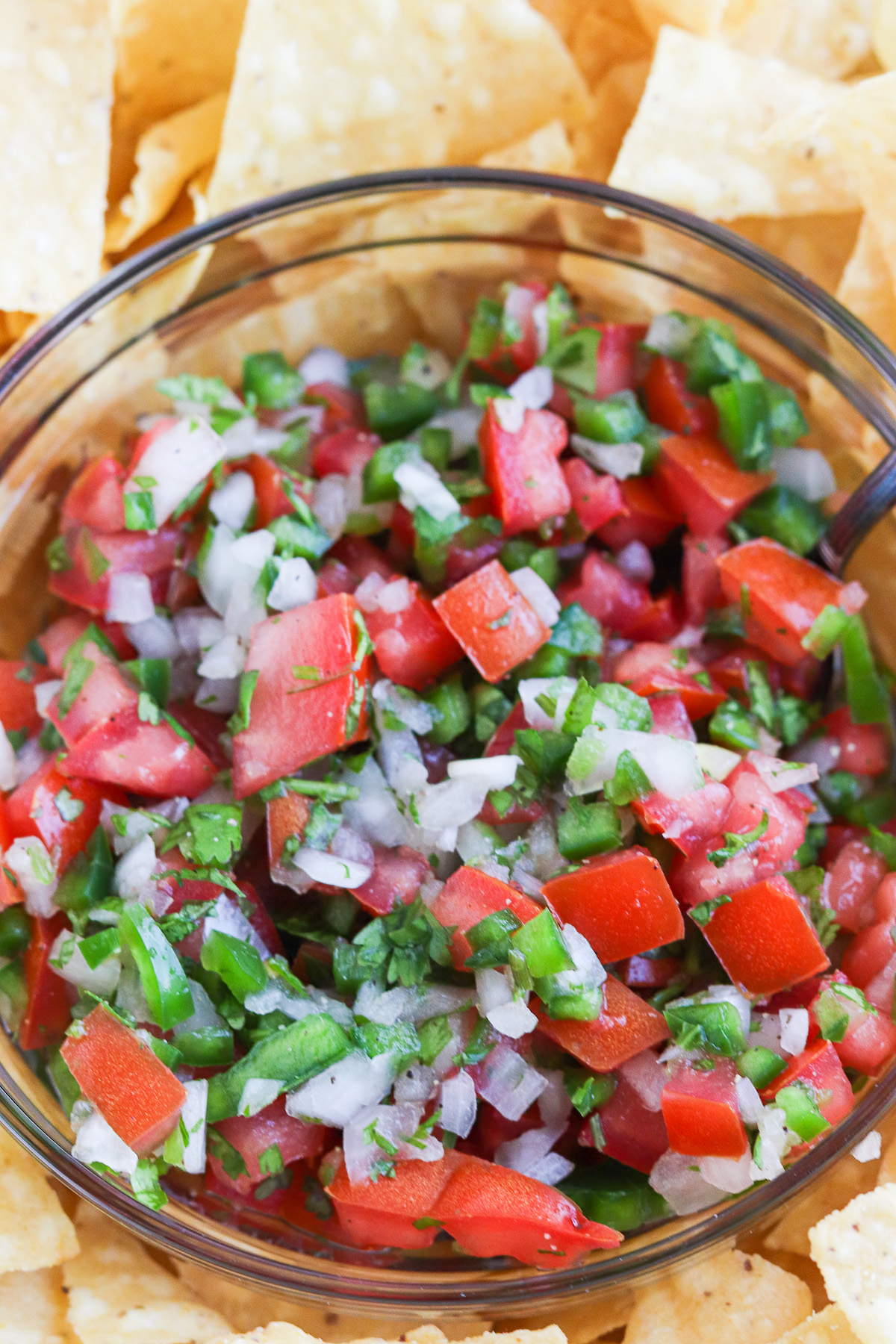 The bowl is filled with a vibrant mix of diced tomatoes, onions, jalapeños, and cilantro. The ingredients are evenly distributed, and the colors are bright and contrasting. The texture is chunky and there are visible pieces of tomato and onion. The cilantro leaves are finely chopped and scattered throughout