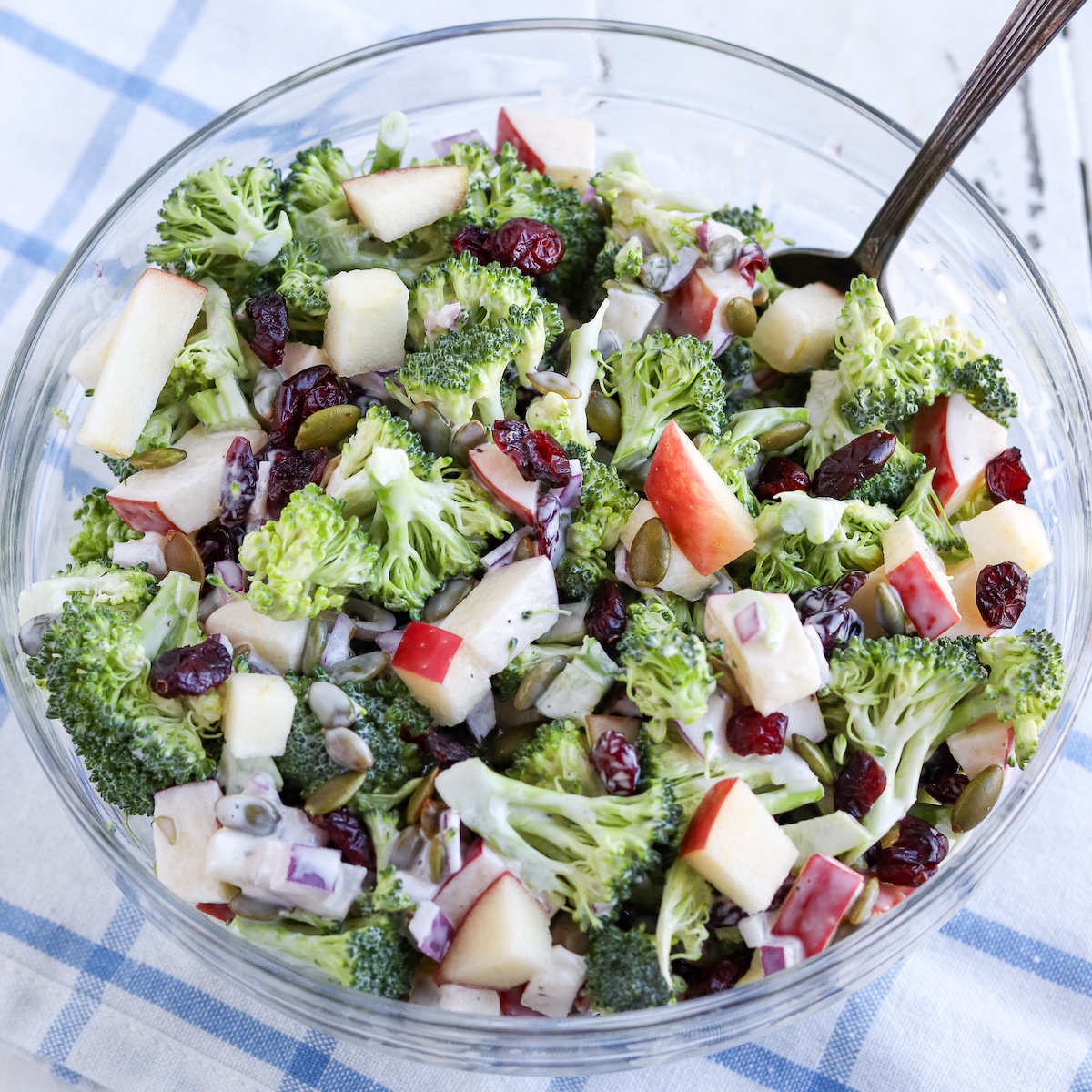 Broccoli Salad With Cranberries My Texas Kitchen 6641