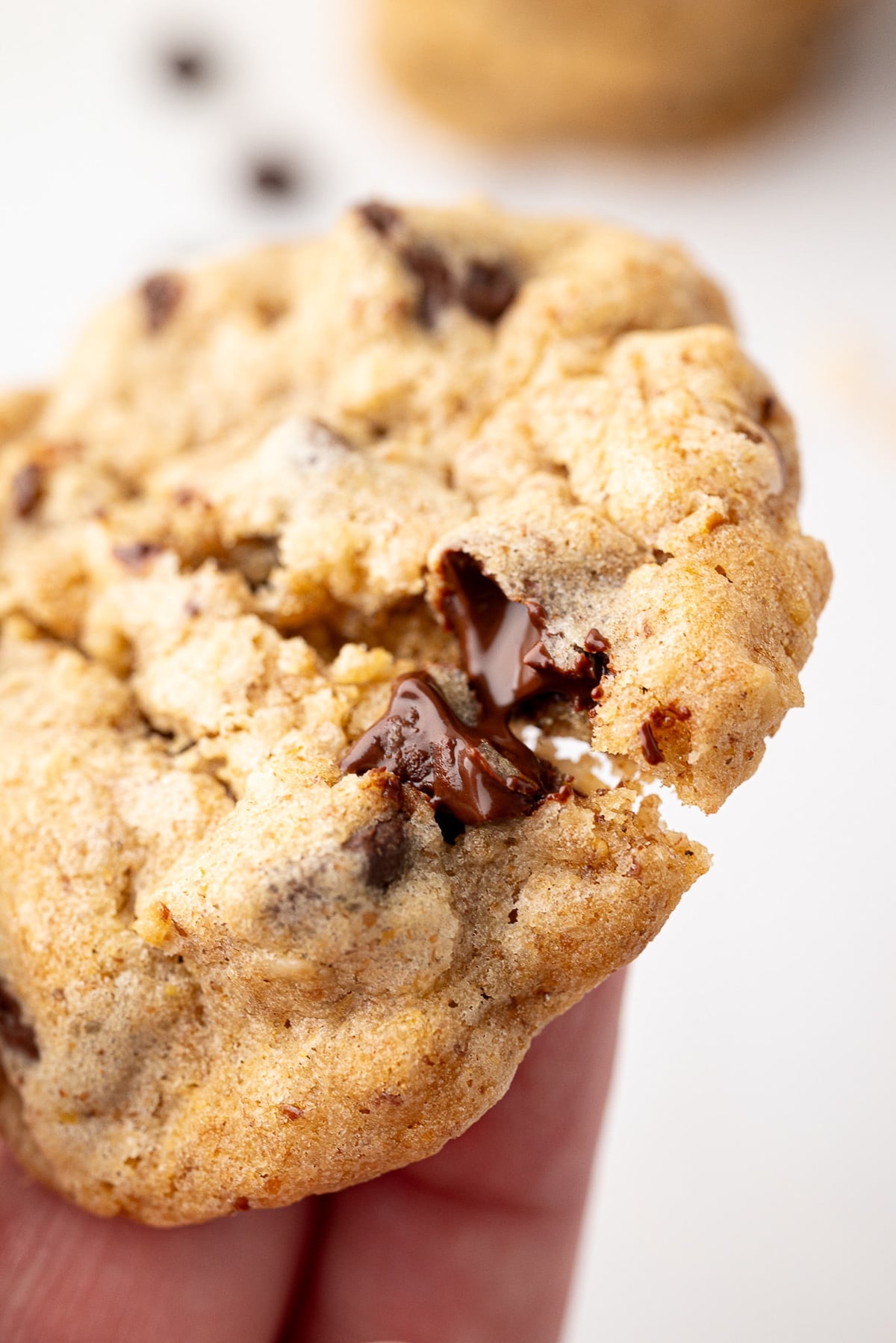 melted chocolate morsel in fresh from oven cookie