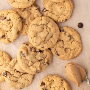 closeup of baked soft and chewy peanut butter chocolate chip cookies