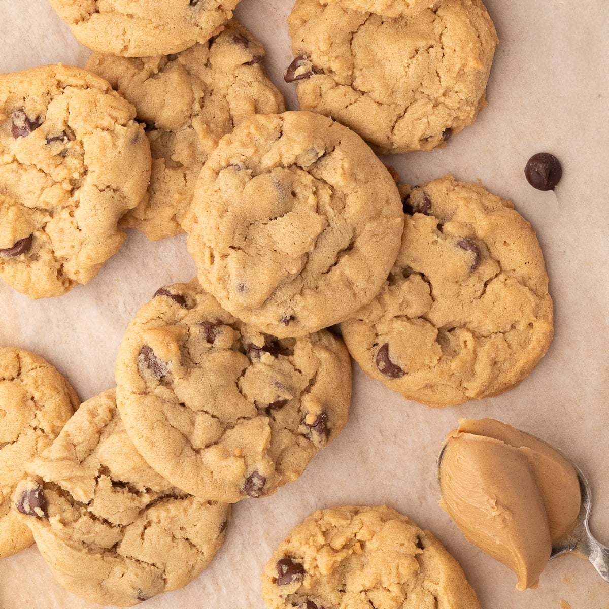 Peanut Butter Chocolate Chip Cookies - My Texas Kitchen