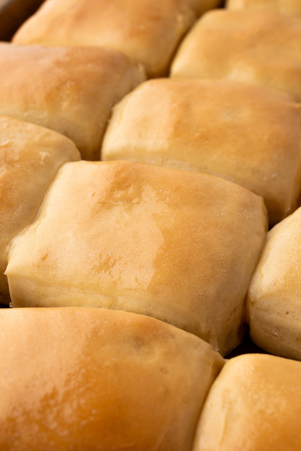 A baking sheet with rolls fresh out of the warm oven.