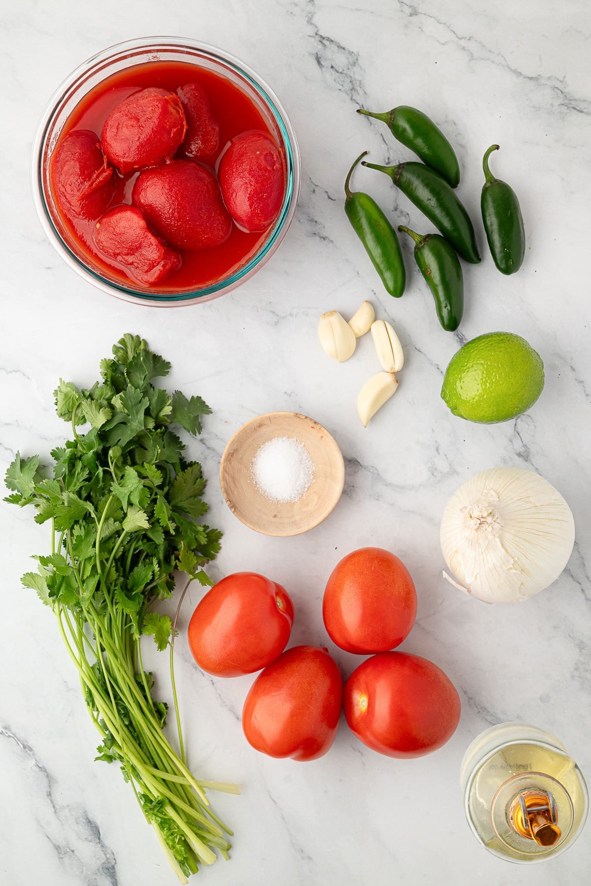 Fresh ingredients for Texas restaurant-style salsa including Roma tomatoes, jalapeños, onion, cilantro, and canned tomatoes.