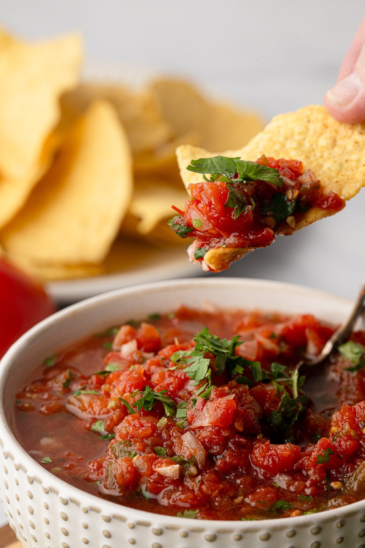 A scoop of salsa made with fresh and canned tomatoes on a tortilla chip.