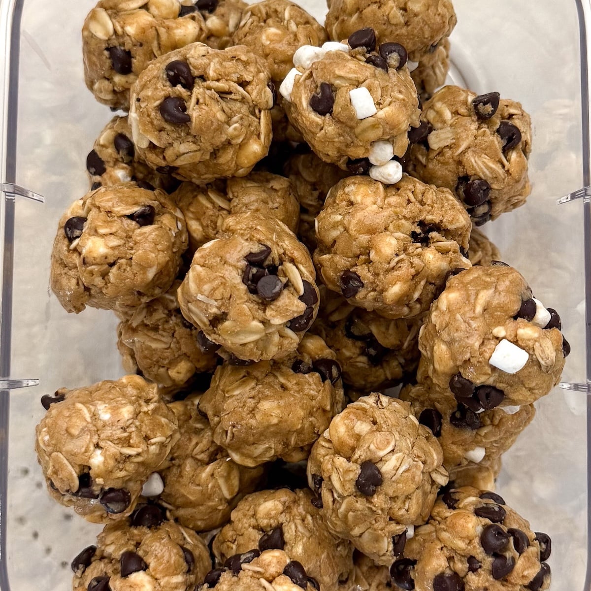 Shaped s'mores energy bites in a storage container.
