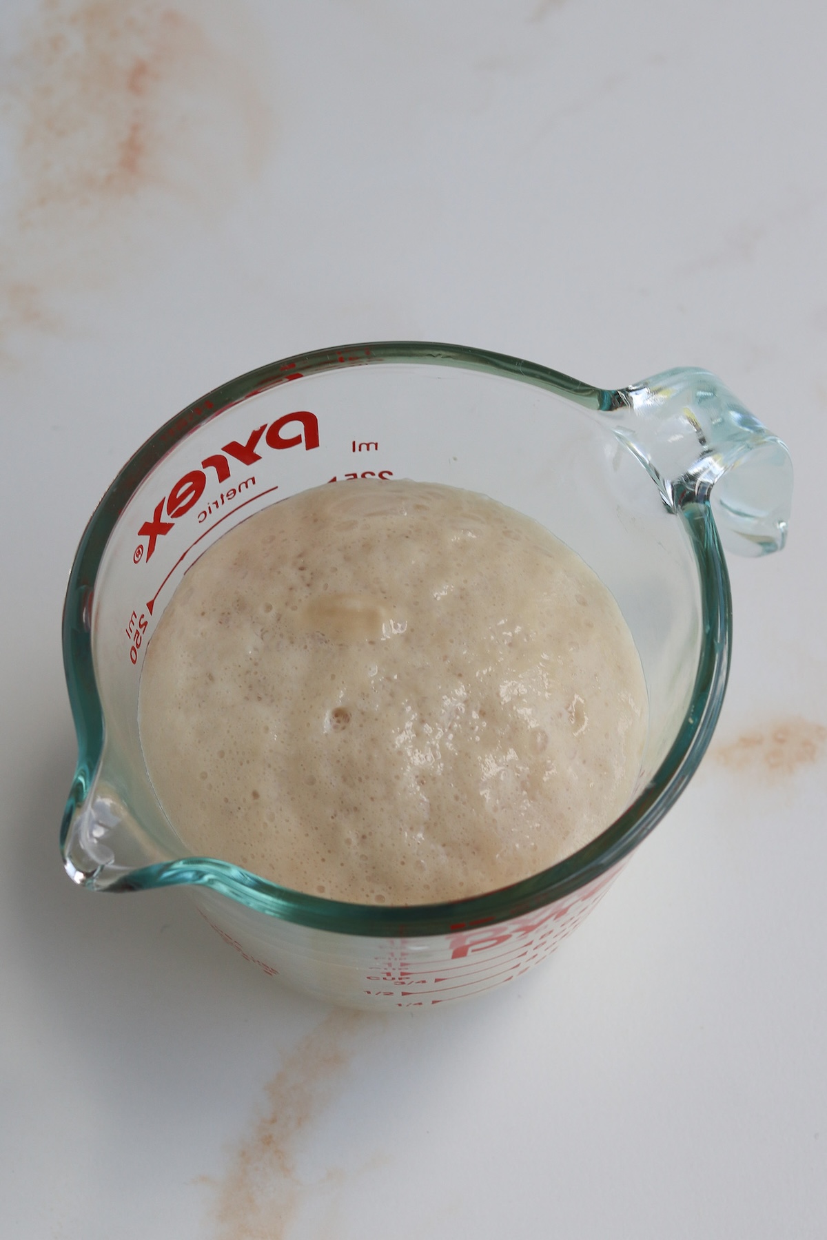 Proofing yeast with warm water and sugar in a glass measuring cup, mixture is foamy.